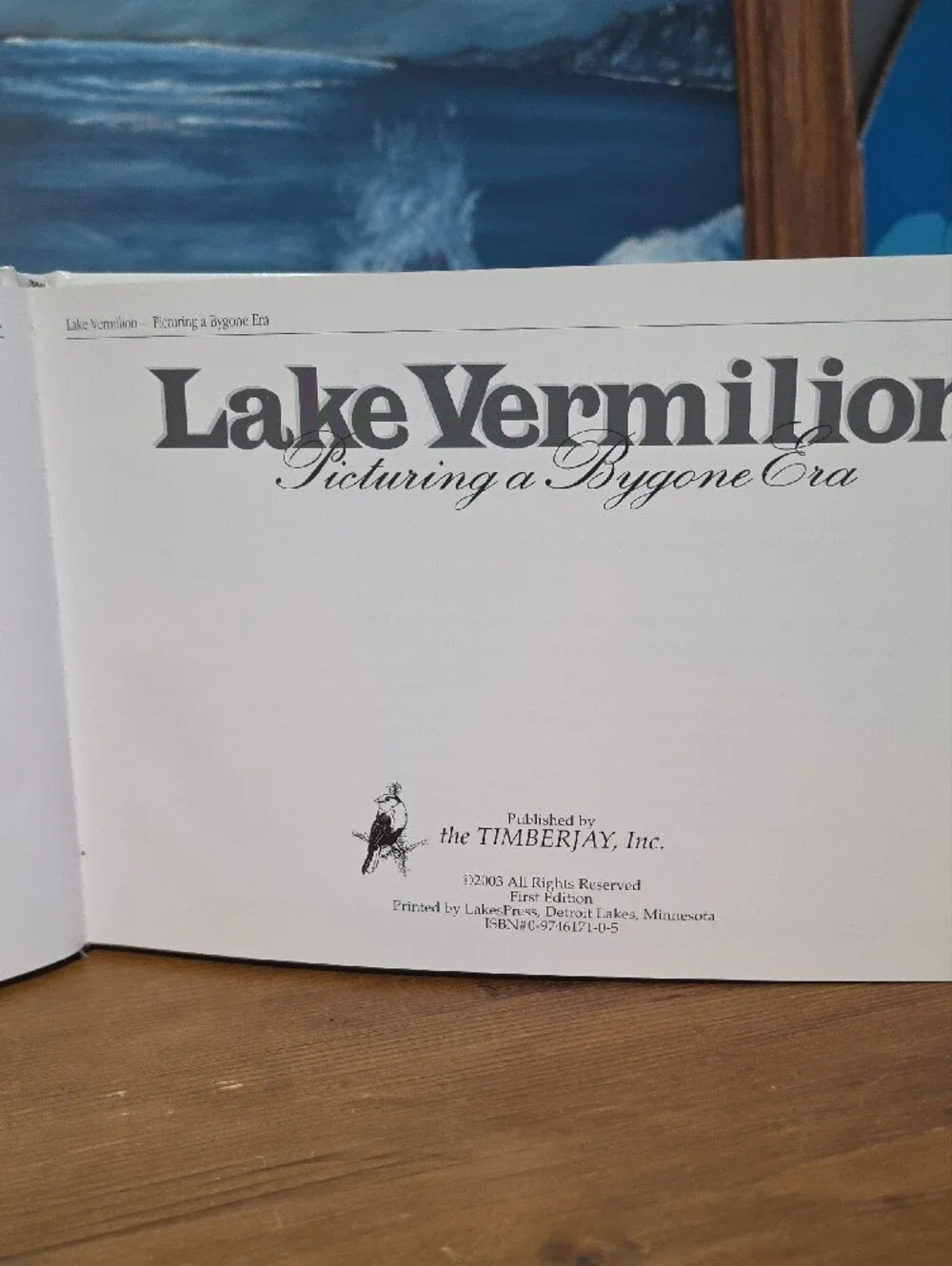 Lake Vermilion Picturing a Bygone Era Coffee Table Book - Black & White